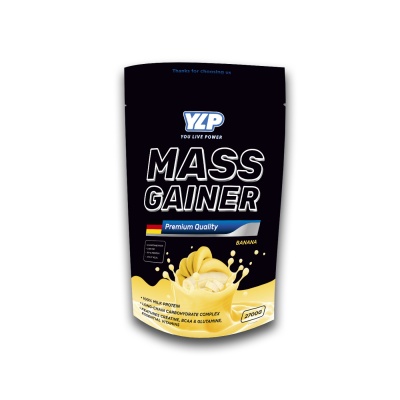  YLP Mass Gainer 2700 